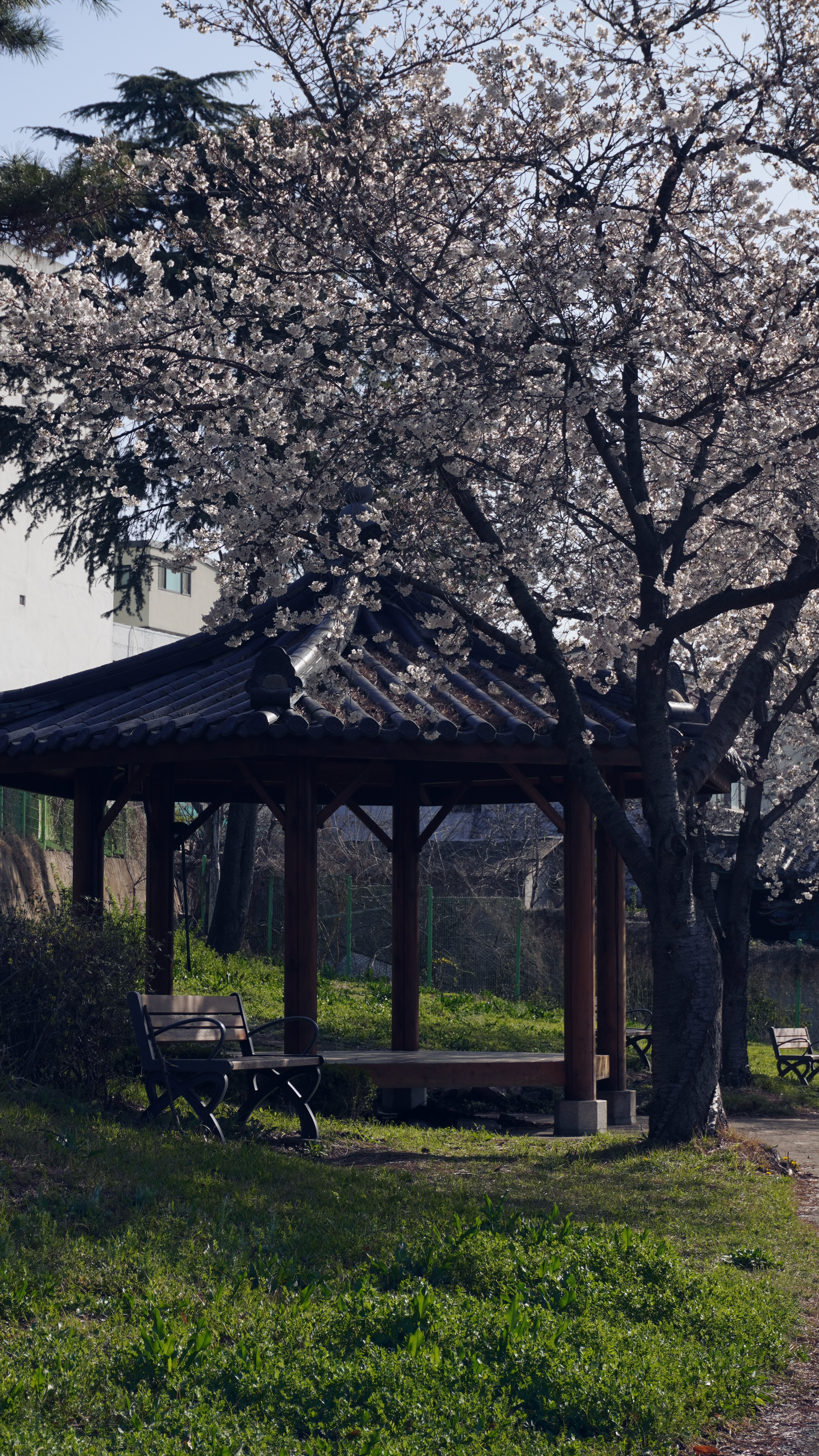 Seowon Shrine